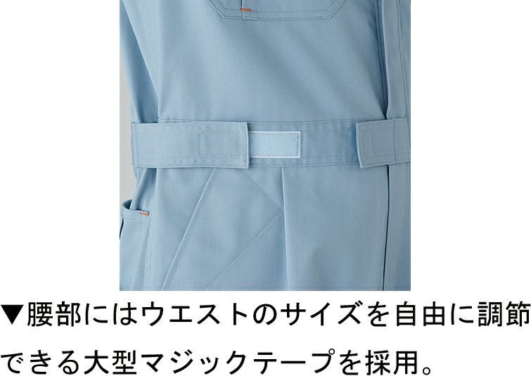 腰部分画像