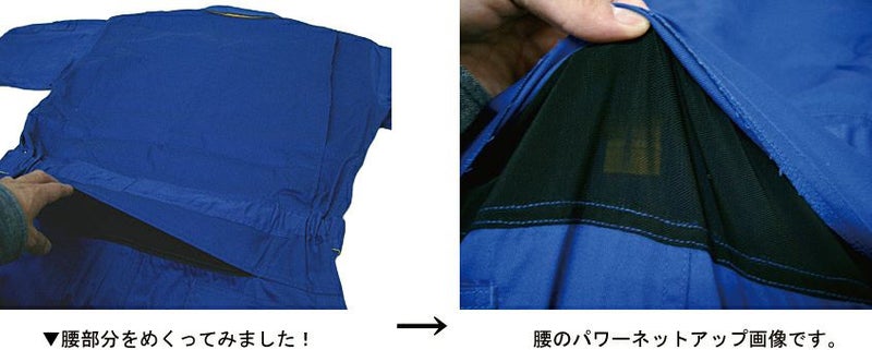 腰部パワーネット画像