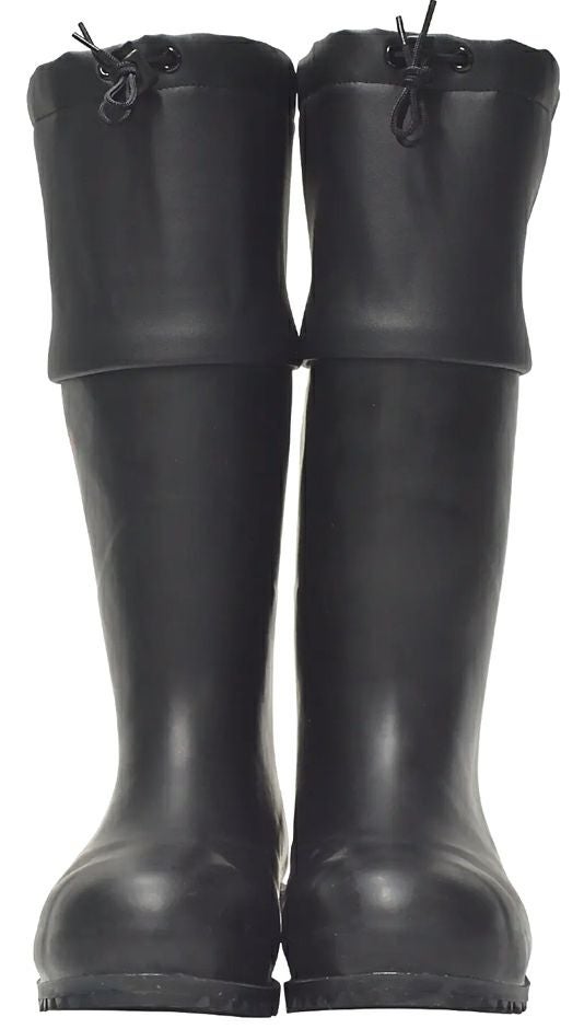 正面からの撮影写真