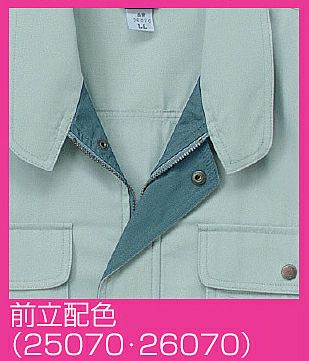 前立ての色味