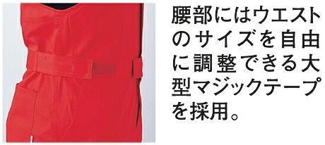 腰部画像