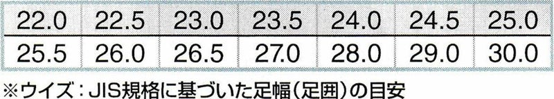 サイズ展開