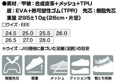 サイズ表