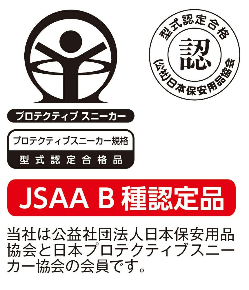 JSAA B種認定