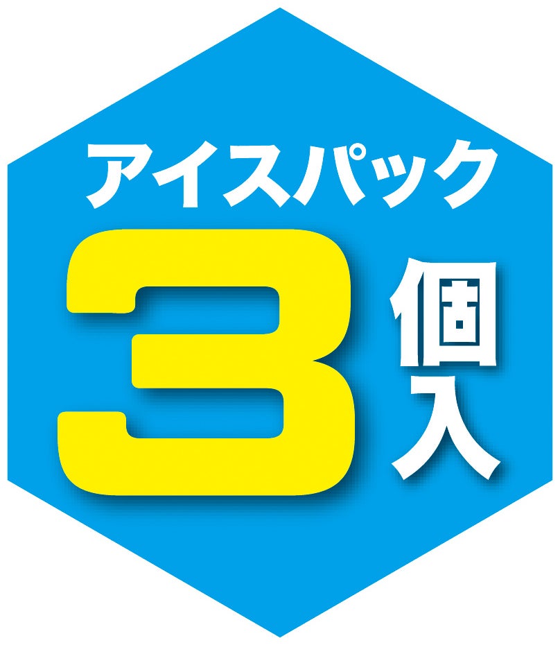アイスパック3個入